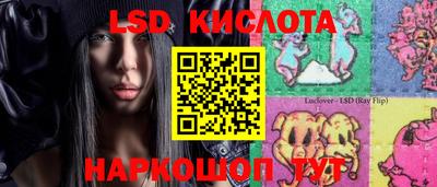 прущие грибы Ярославль