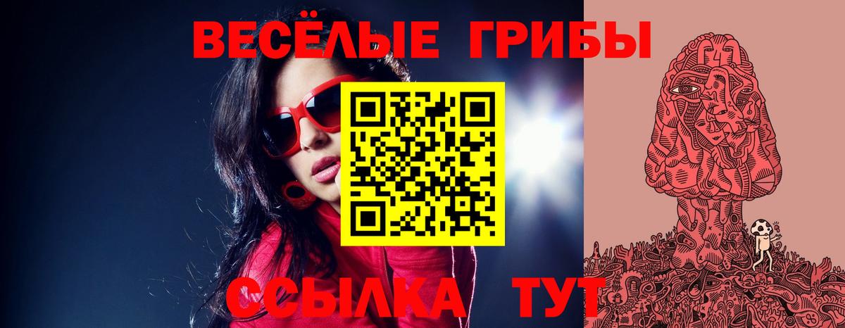 Галлюциногенные грибы GOLDEN TEACHER Борисоглебск