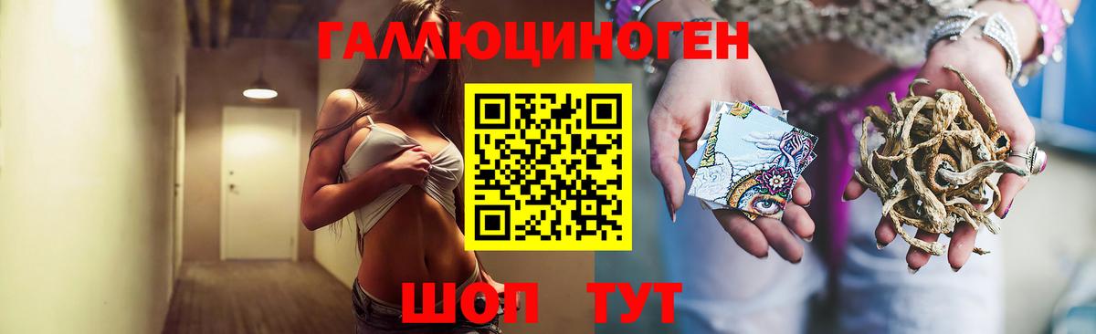 Галлюциногенные грибы Psilocybe  купить   Псилоцибиновые грибы ЛСД  Борисоглебск  Вход с VPN 